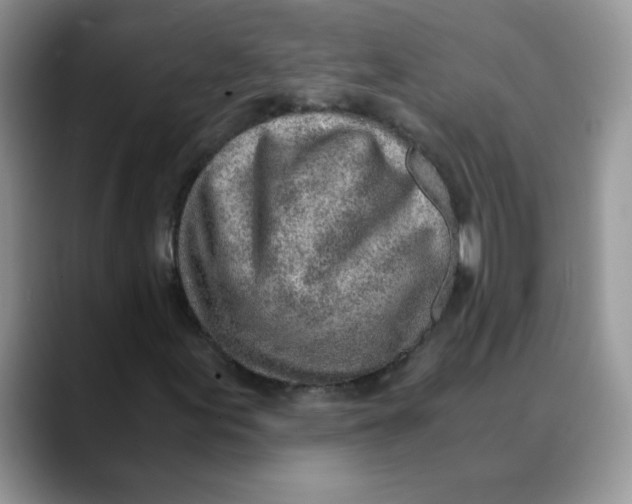 X0000088441155200706121503