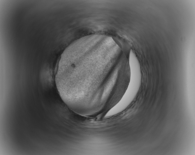 X0000088441156200706121503