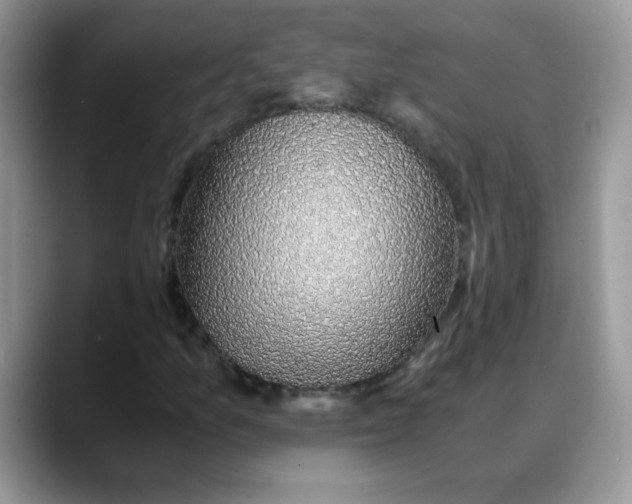X0000088441157200706121503