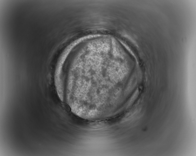 X0000088441159200706121503