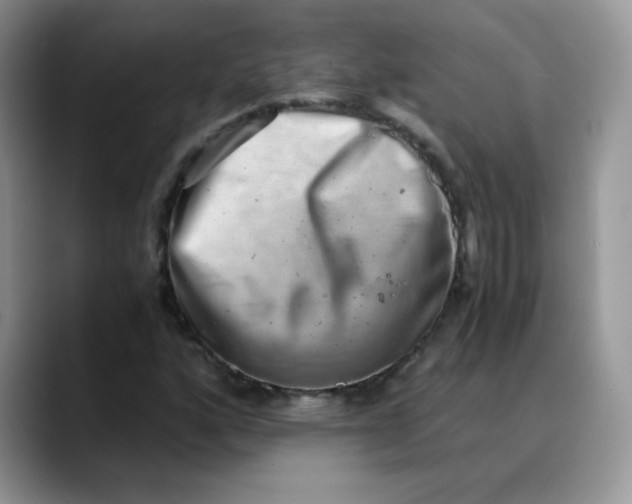 X0000088441160200706121503