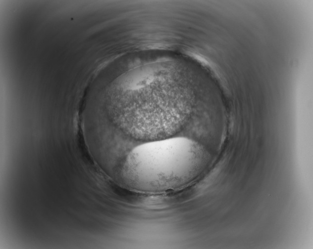 X0000088441161200706121503
