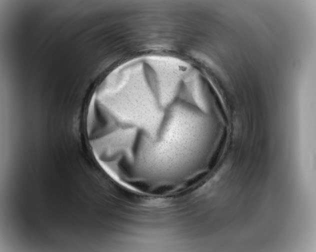 X0000088441162200706121503