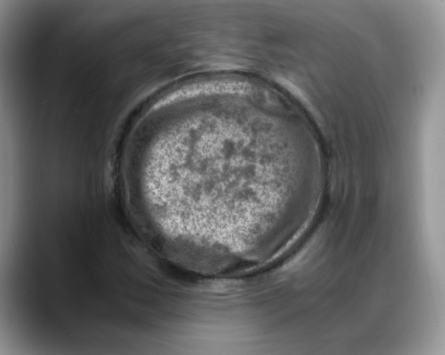 X0000088441163200706121503