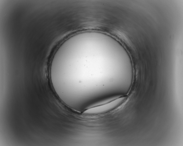 X0000088441164200706121503