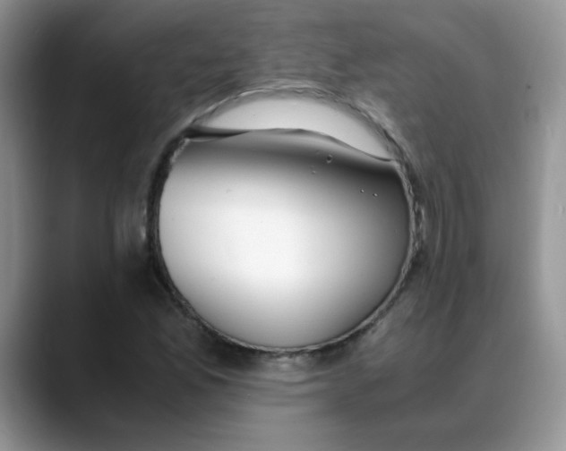 X0000088441165200706121503