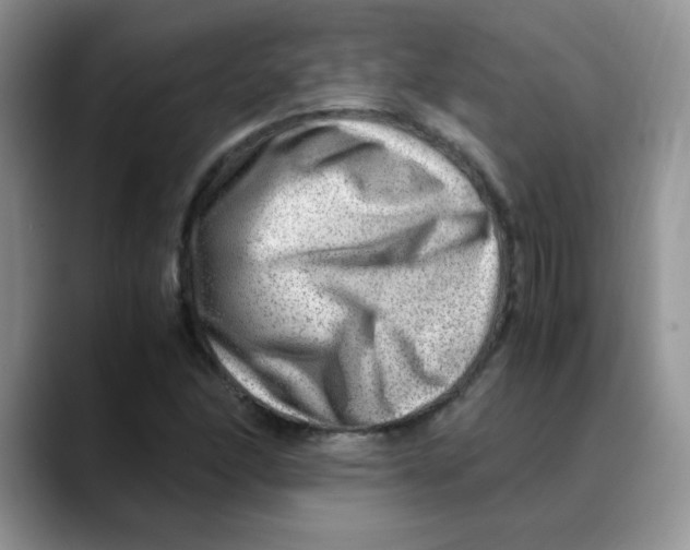 X0000088441166200706121503