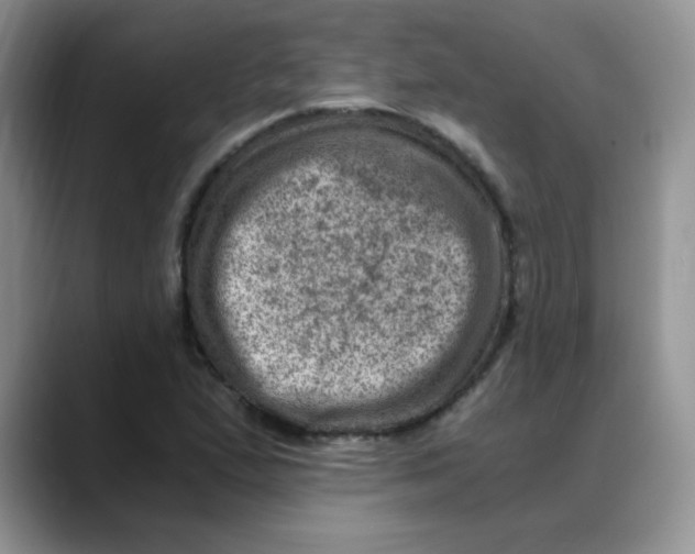 X0000088441167200706121503