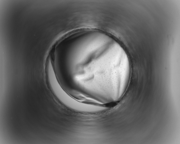 X0000088441168200706121503