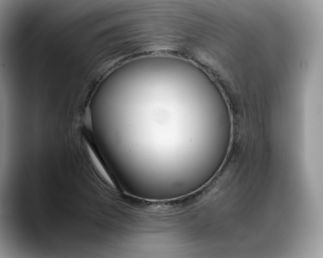 X0000088441169200706121503