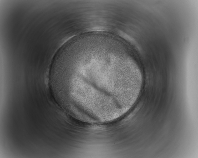 X0000088441170200706121503