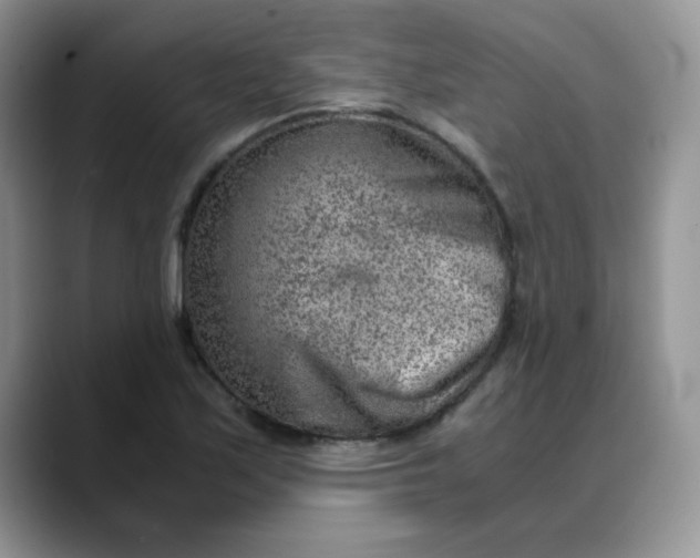 X0000088441171200706121503