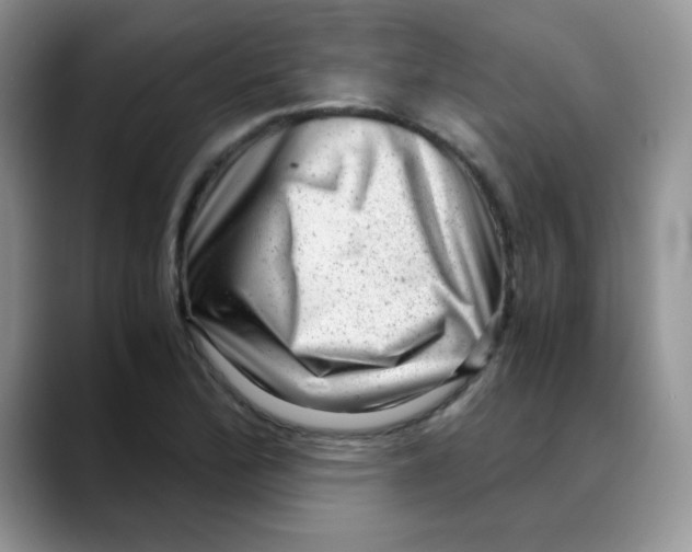 X0000088441172200706121503