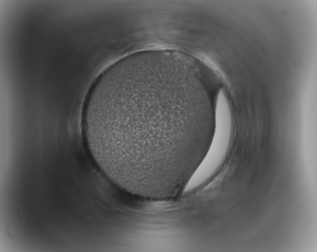 X0000088441173200706121503