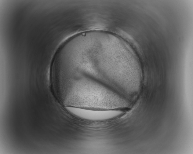 X0000088441174200706121503