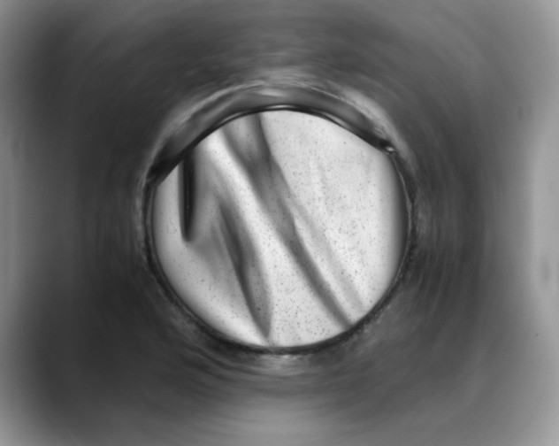 X0000088441176200706121503