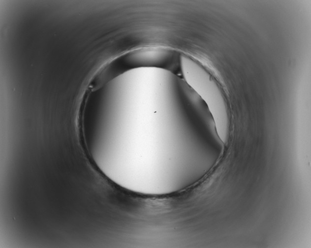 X0000088441181200706121503