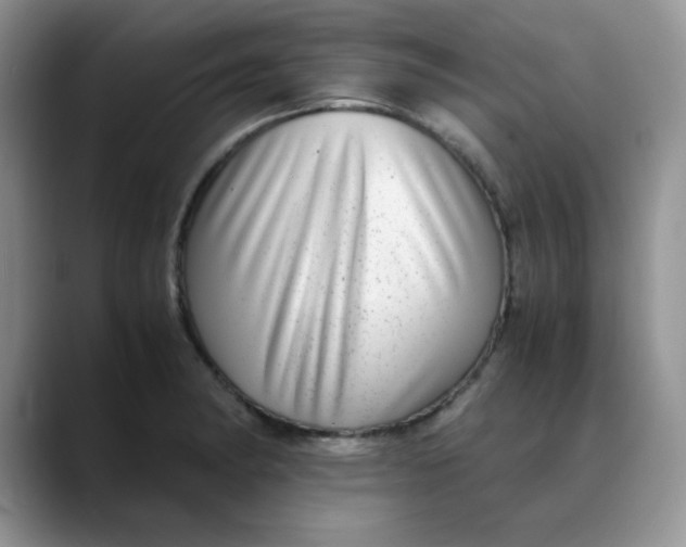 X0000088441182200706121503