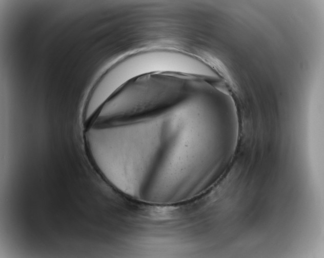 X0000088441184200706121503