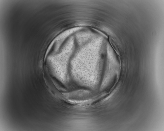 X0000088441185200706121503