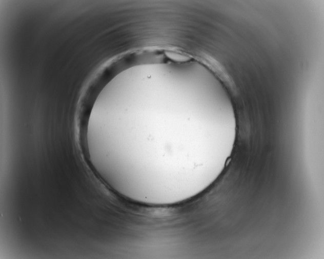 X0000088441188200706121503