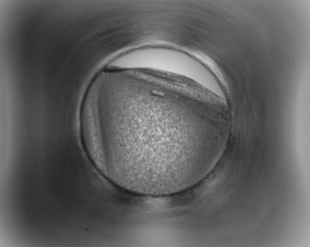 X0000088441191200706121503