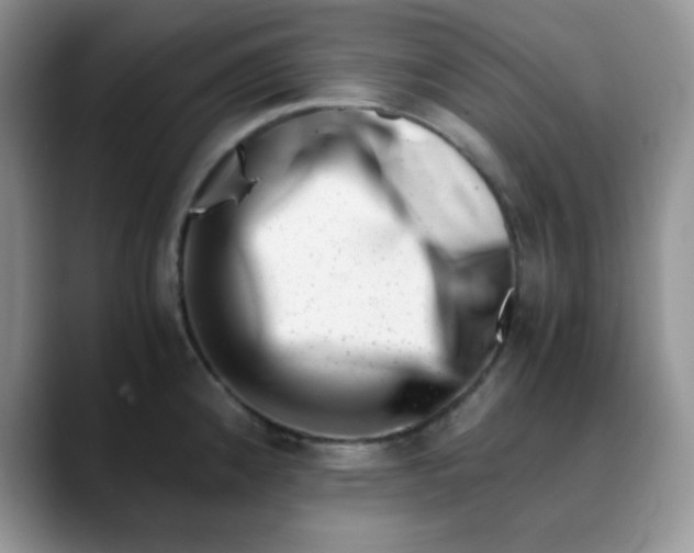 X0000088441192200706121503