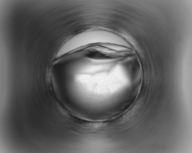 X0000088441193200706121503