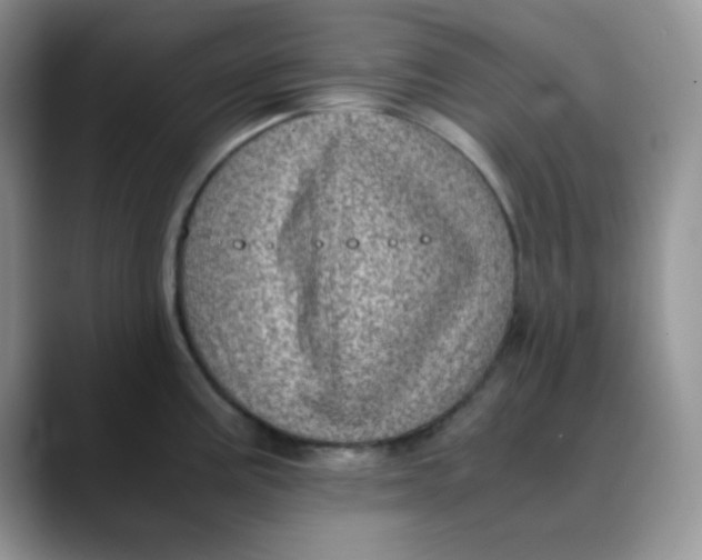 X0000088441195200706121503