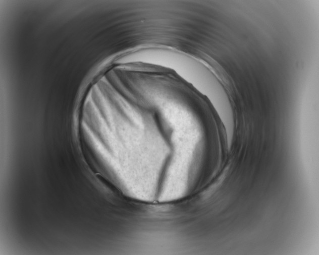 X0000088441196200706121503