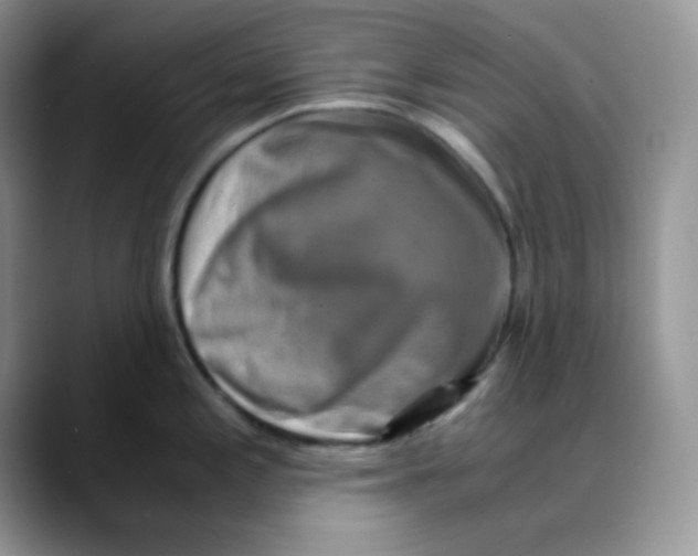 X0000088441197200706121503