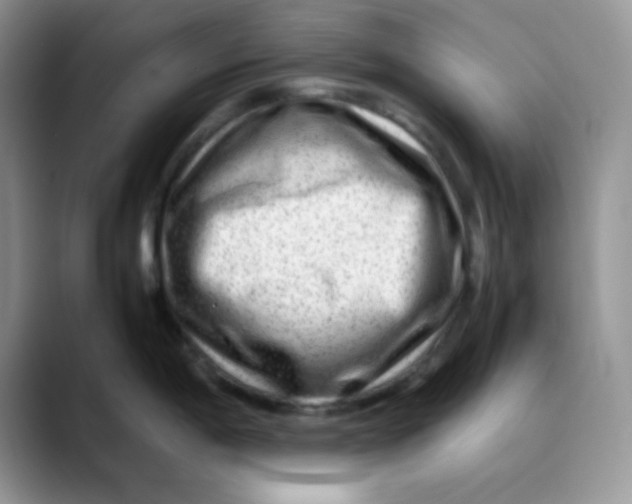 X0000088441198200706121503