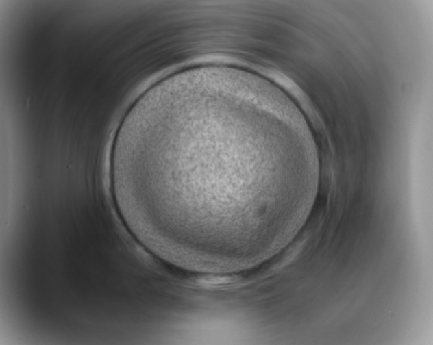 X0000088441199200706121503