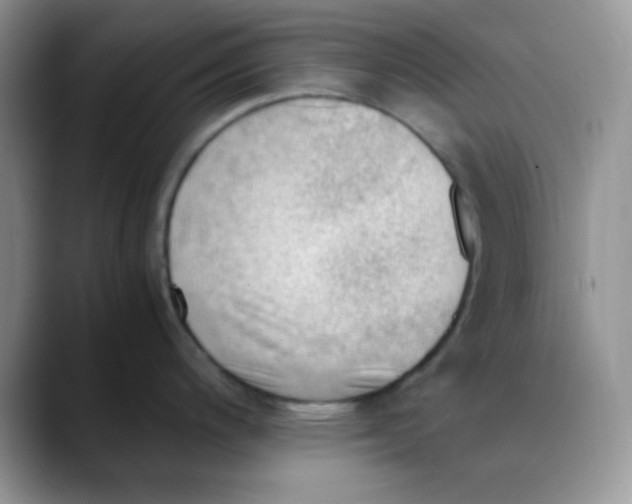 X0000088441200200706121503