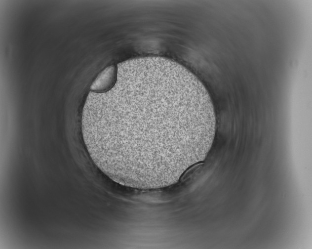 X0000088441201200706121502