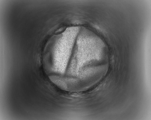 X0000088441205200706121502