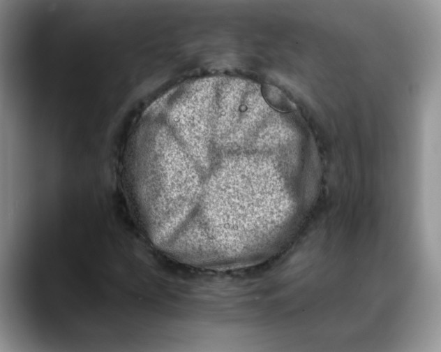 X0000088441207200706121502