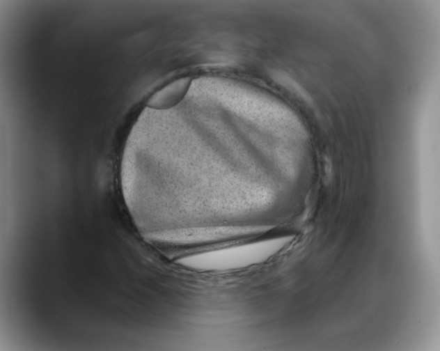 X0000088441208200706121502