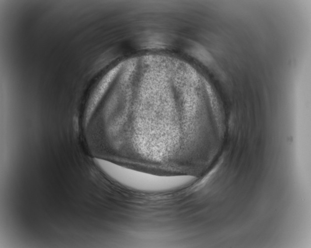 X0000088441209200706121502