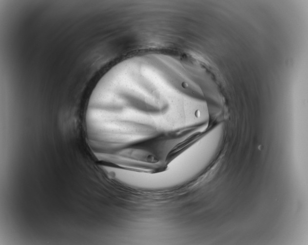 X0000088441210200706121502