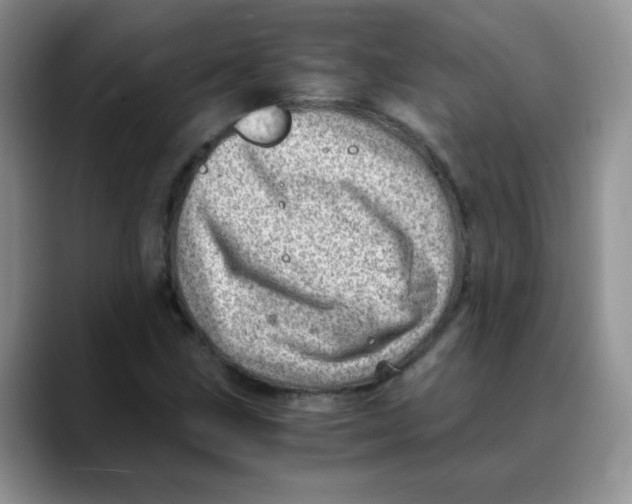 X0000088441211200706121502