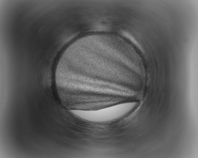 X0000088441213200706121502
