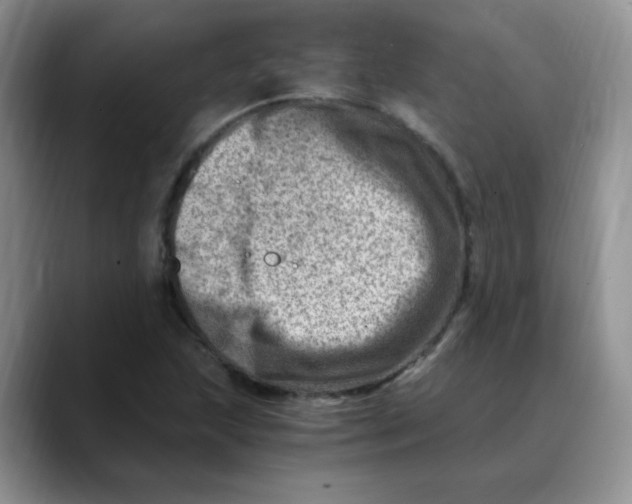 X0000088441215200706121502