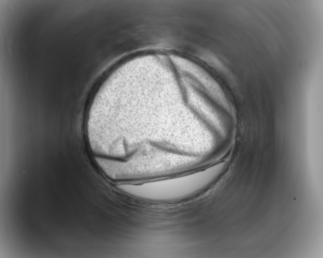 X0000088441216200706121502