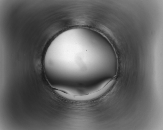 X0000088441218200706121503