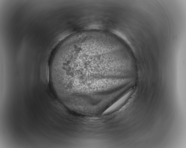 X0000088441219200706121503