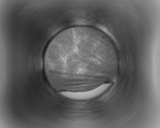 X0000088441221200706121503