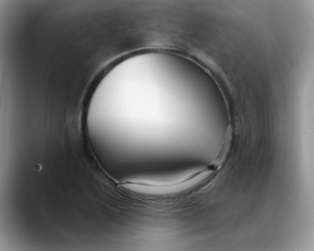 X0000088441222200706121503