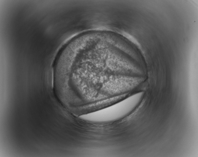 X0000088441223200706121503