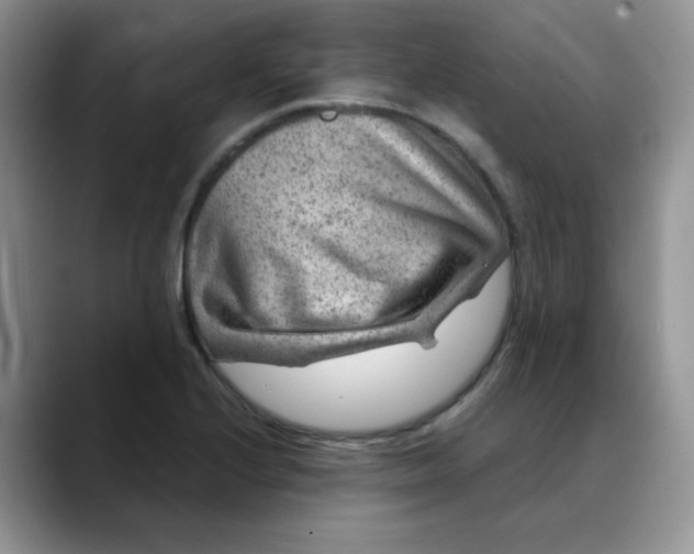X0000088441224200706121503